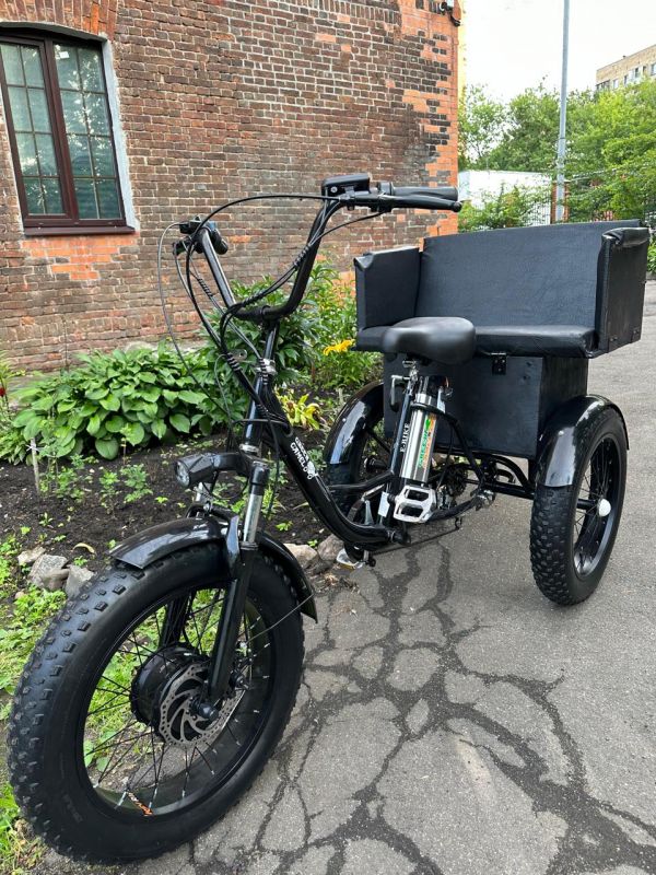 Трехколесный электровелосипед Ekobike Etrike Pro 500 Lux Трехколесный электровелосипед Ekobike Etrike Pro 500 Lux